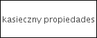 Kasieczny Propiedades logo