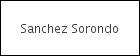 Sanchez Sorondo logo