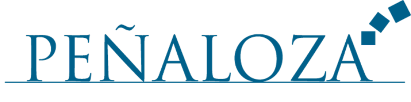 Peñaloza Negocios Inmobiliarios logo