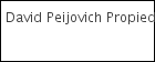 David Peijovich Propiedades logo