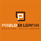PABLO DI LERNIA Negocios Inmobiliarios logo