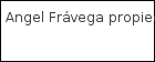 Angel Frávega propiedades logo
