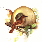 Inmobiliaria Lencinas logo