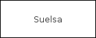 Suelsa Inmobiliaria logo