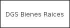DGS Bienes Raices logo