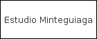 Estudio Minteguiaga logo