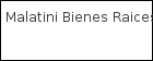 Malatini Bienes Raices logo