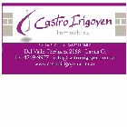 Sandra Castro Irigoyen