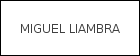 MIGUEL LIAMBRA logo