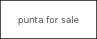 punta for sale logo