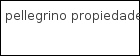Pellegrino Propiedades logo
