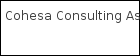 Cohesa Consulting Asesores logo