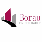 Borau Propiedades logo