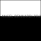 Angel Bennardi Propiedades logo