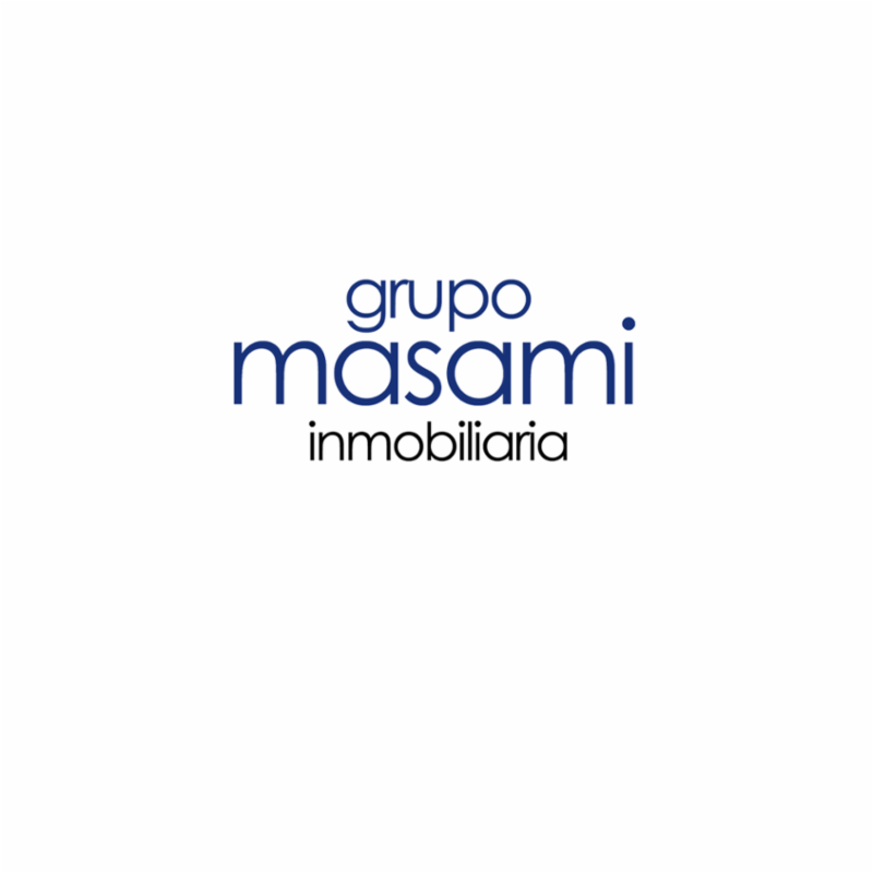 grupo masami logo