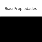 Biasi Propiedades logo