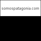 somospatagonia.com logo
