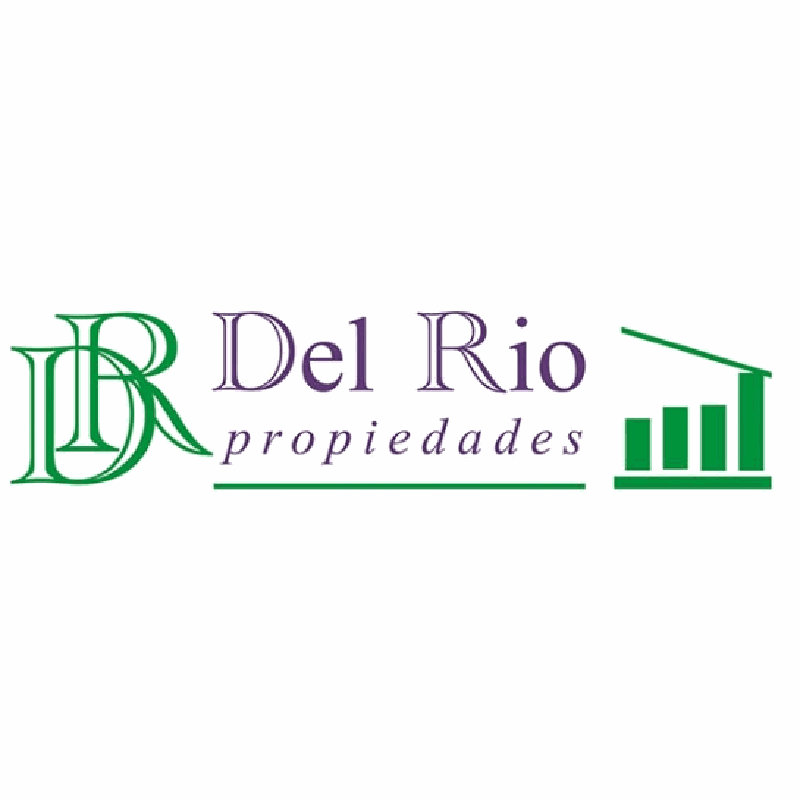 DEL RIO PROPIEDADES logo