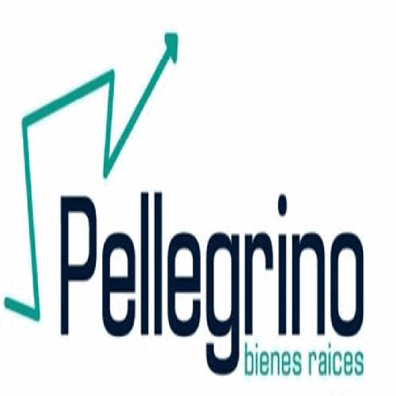 Pellegrino Bienes Raíces logo