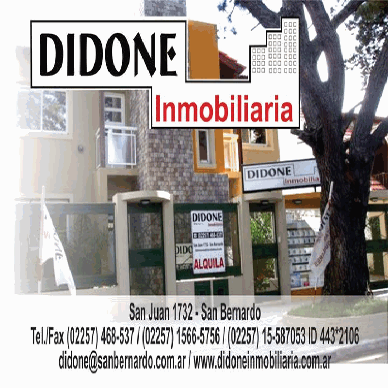 Didone Inmobiliaria logo