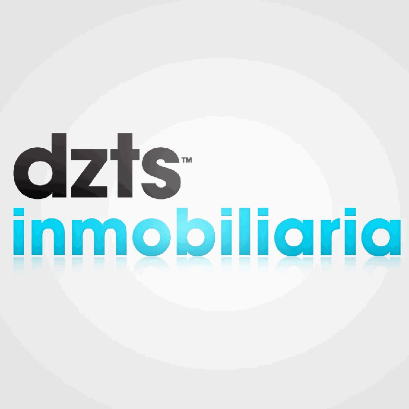 DZTS Inmobiliaria logo