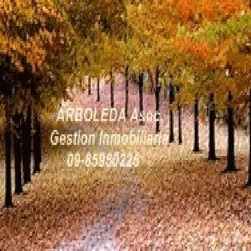 ARBOLEDA Asoc. logo