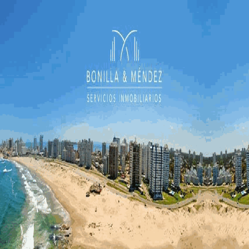 Bonilla y Mendez logo