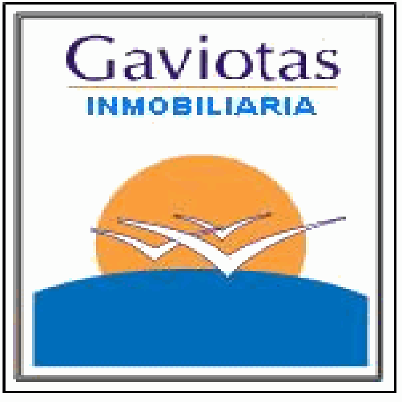 Gaviotas
