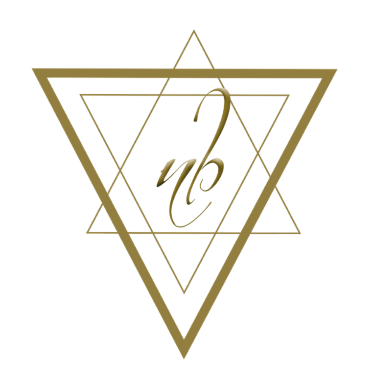 Natalia Borello Bienes Raíces logo