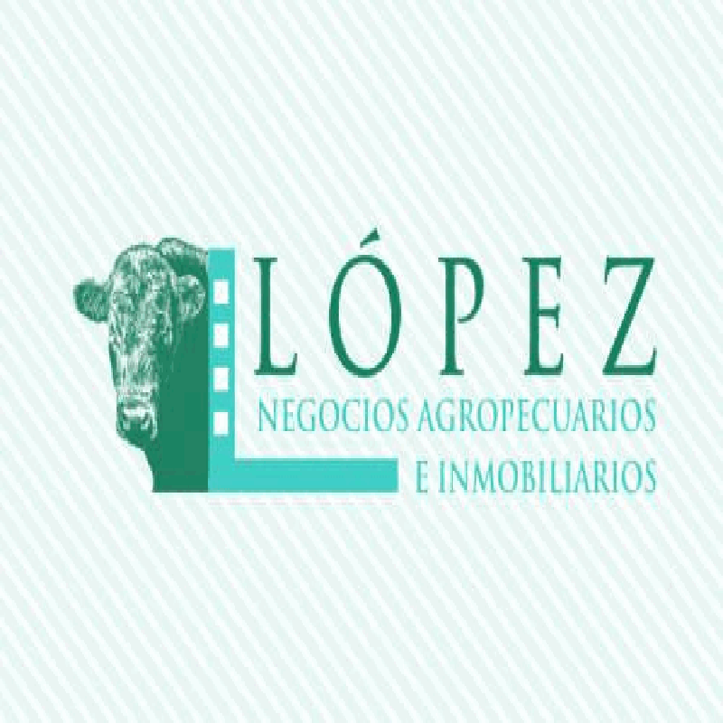 Lopez Negocios Agropecuarios e Inmobiliarios logo
