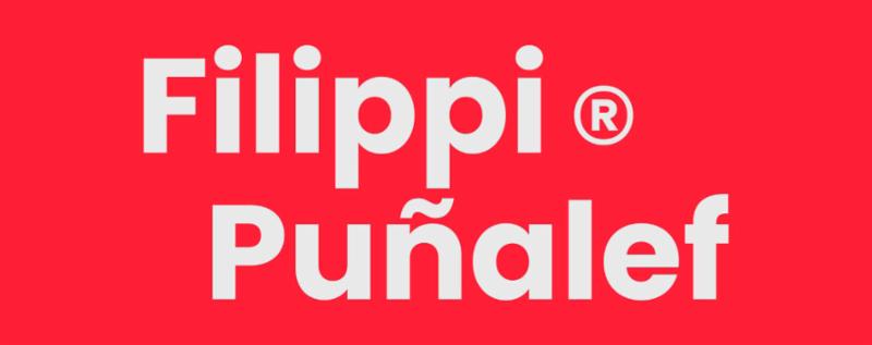 Estudio Inmobiliario Filippi Puñalef