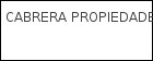 CABRERA PROPIEDADES logo