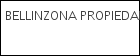 BELLINZONA PROPIEDADES www.bellinzonaprop.com.ar logo