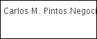 Carlos M. Pintos Negocios Inmobiliarios logo