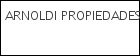 ARNOLDI PROPIEDADES logo