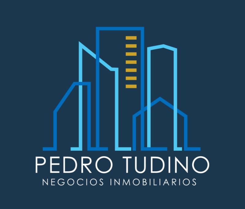 PEDRO TUDINO Negocios Inmobiliarios logo