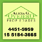 Alicia Ovejero Propiedades logo