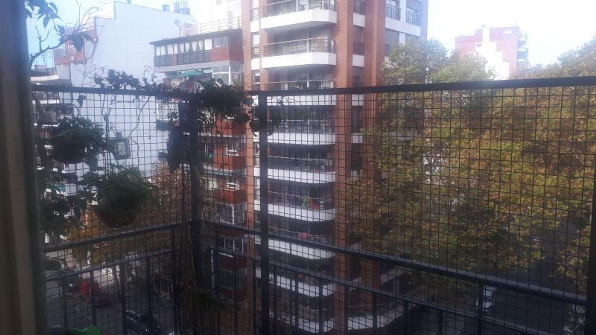 25 Cerrar 1 / 25 Juan Bautista Alberdi al 700