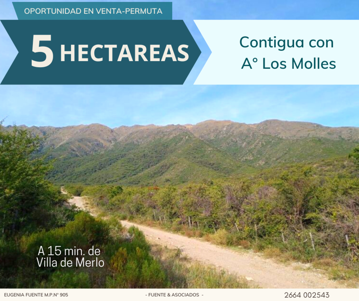 5 HECTAREAS CON ARROYO EN LOS MOLLES - A 15 MIN DE VILLA DE MERLO - 50000 M2 VENTA PERMUTA