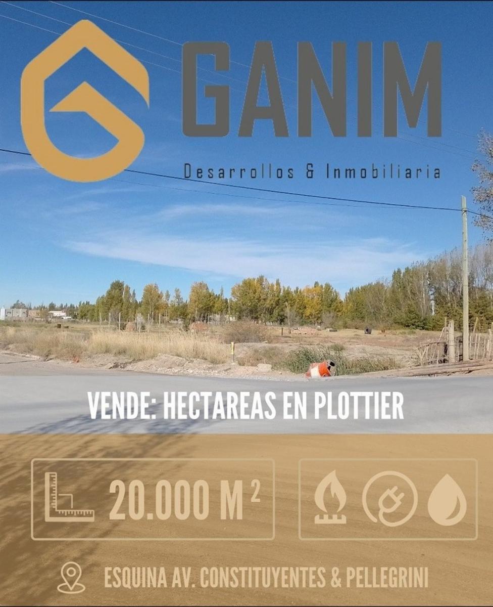 En venta: 2 HECTÁREAS PLOTTIER -  EXCELENTE UBICACION - APTAS DESARROLLO