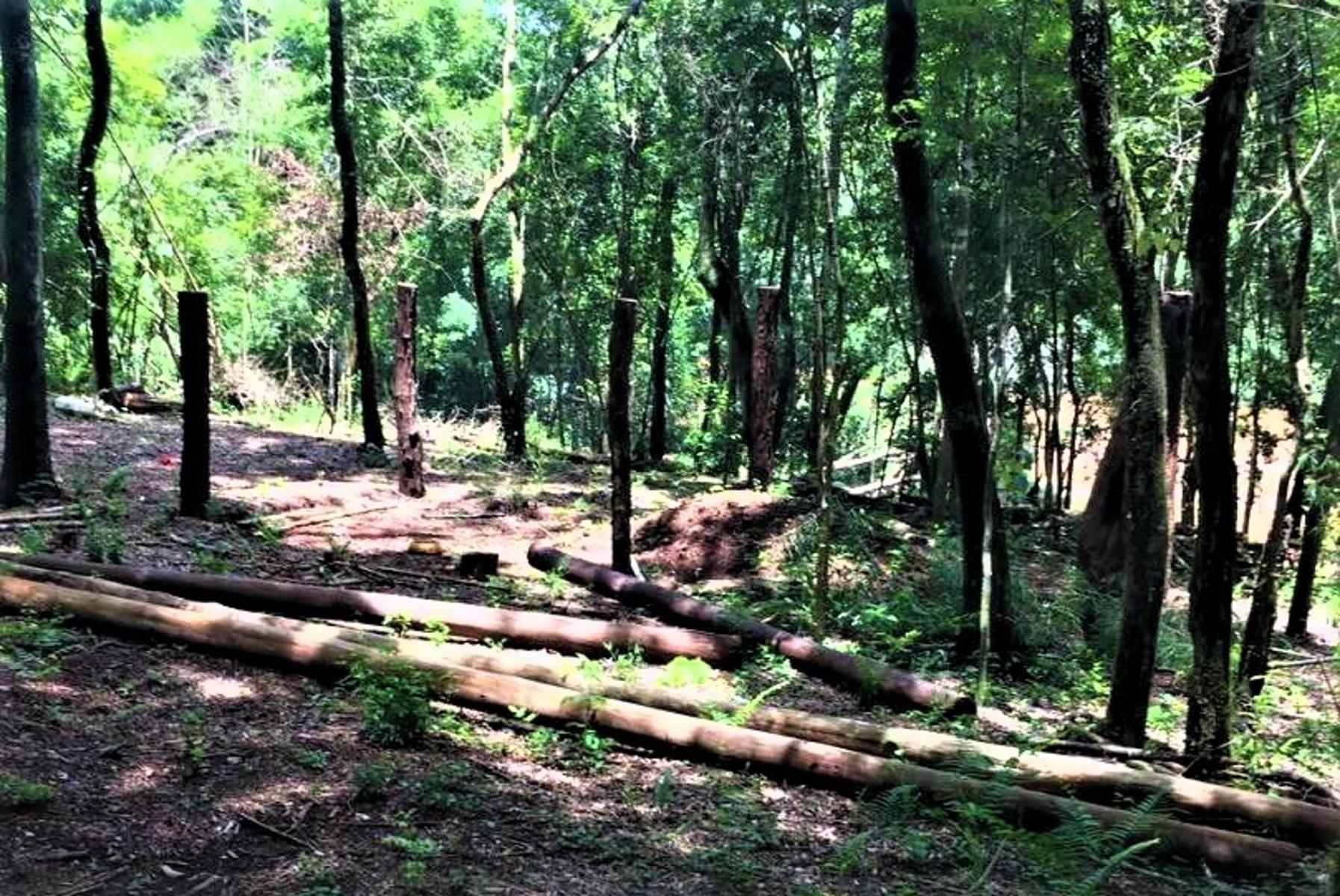 Venta Campo 12700 m2 C/Financiación Eldorado Misiones