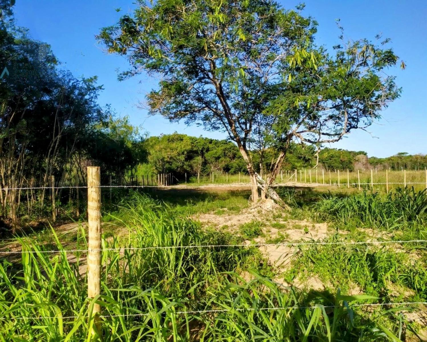 VENTA TERRENO DE 1000 m2 BUZIOS  | RIO DE JANEIRO VALOR EN REALES