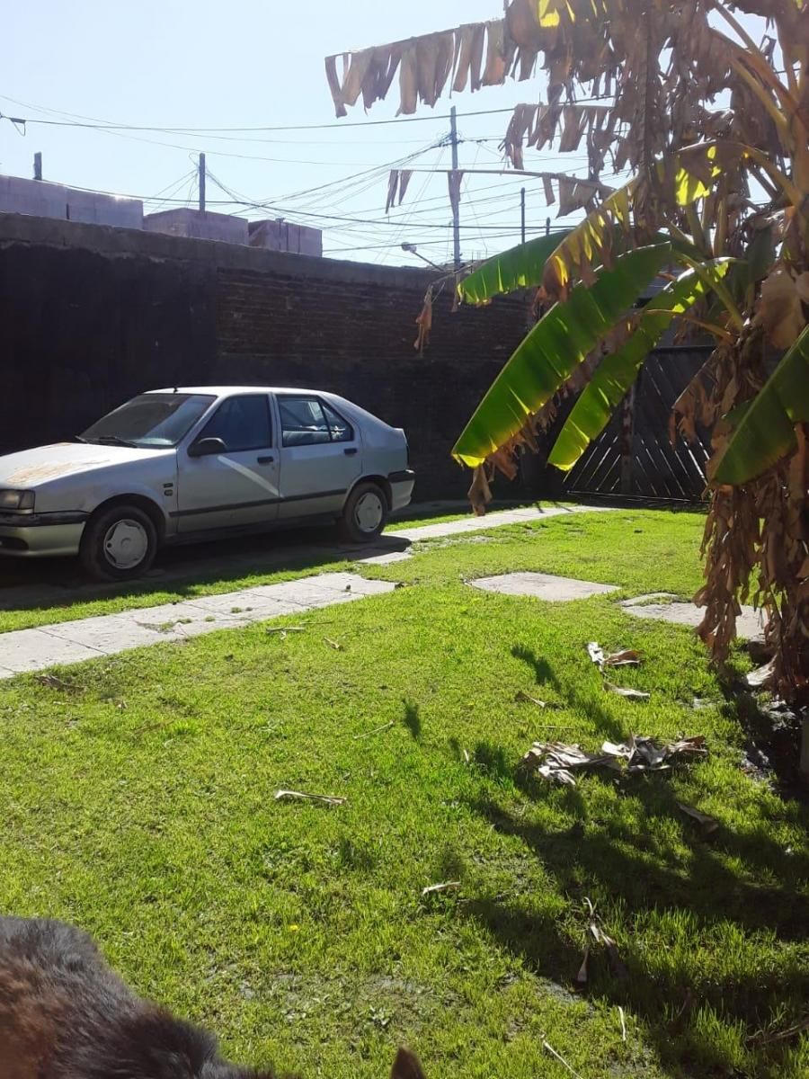 Imagens