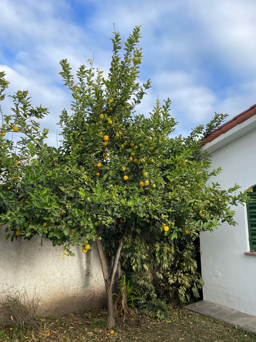 CHALET CÉNTRICO EN VENTA 2 DORMITORIOS - APTO CRÉDITO - VILLA ALLENDE