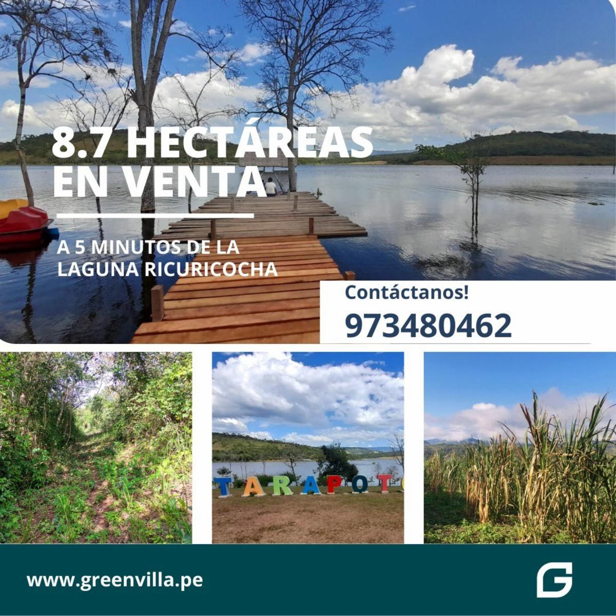 Vendo 8.7 Hectáreas en Tarapoto - Laguna Ricuricocha