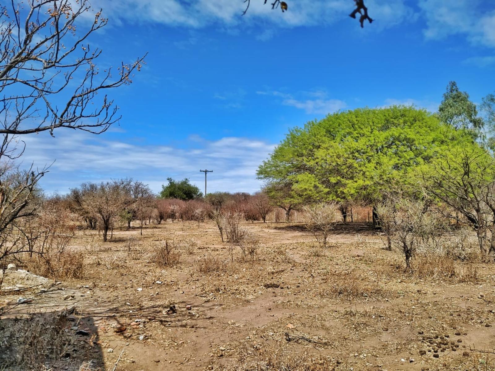 Hermosos terrenos en la Ciudad de Deán Funes, Provincia de Córdoba, Argentina.