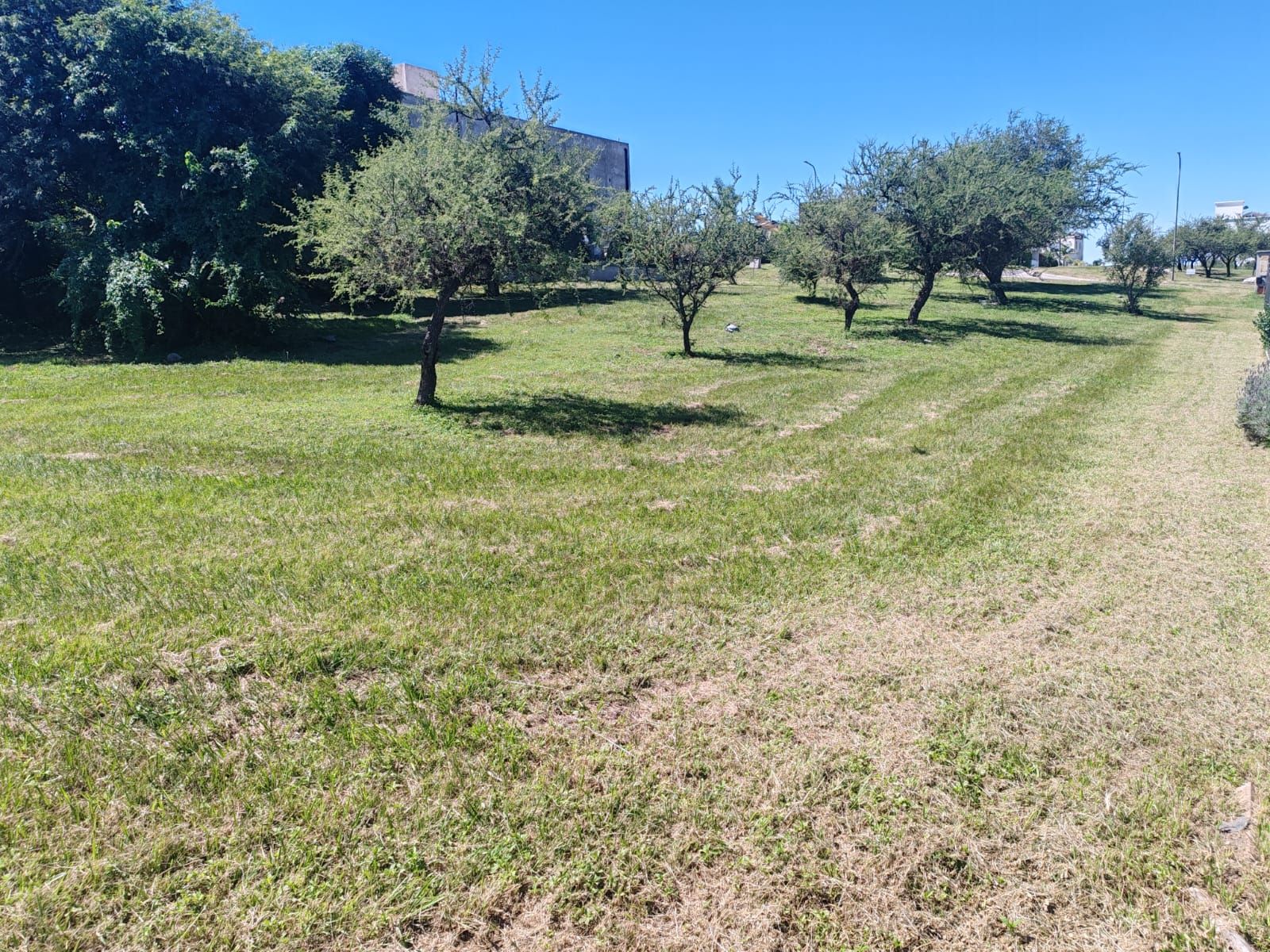 LOTE EN BARRIO LA ARBOLADA