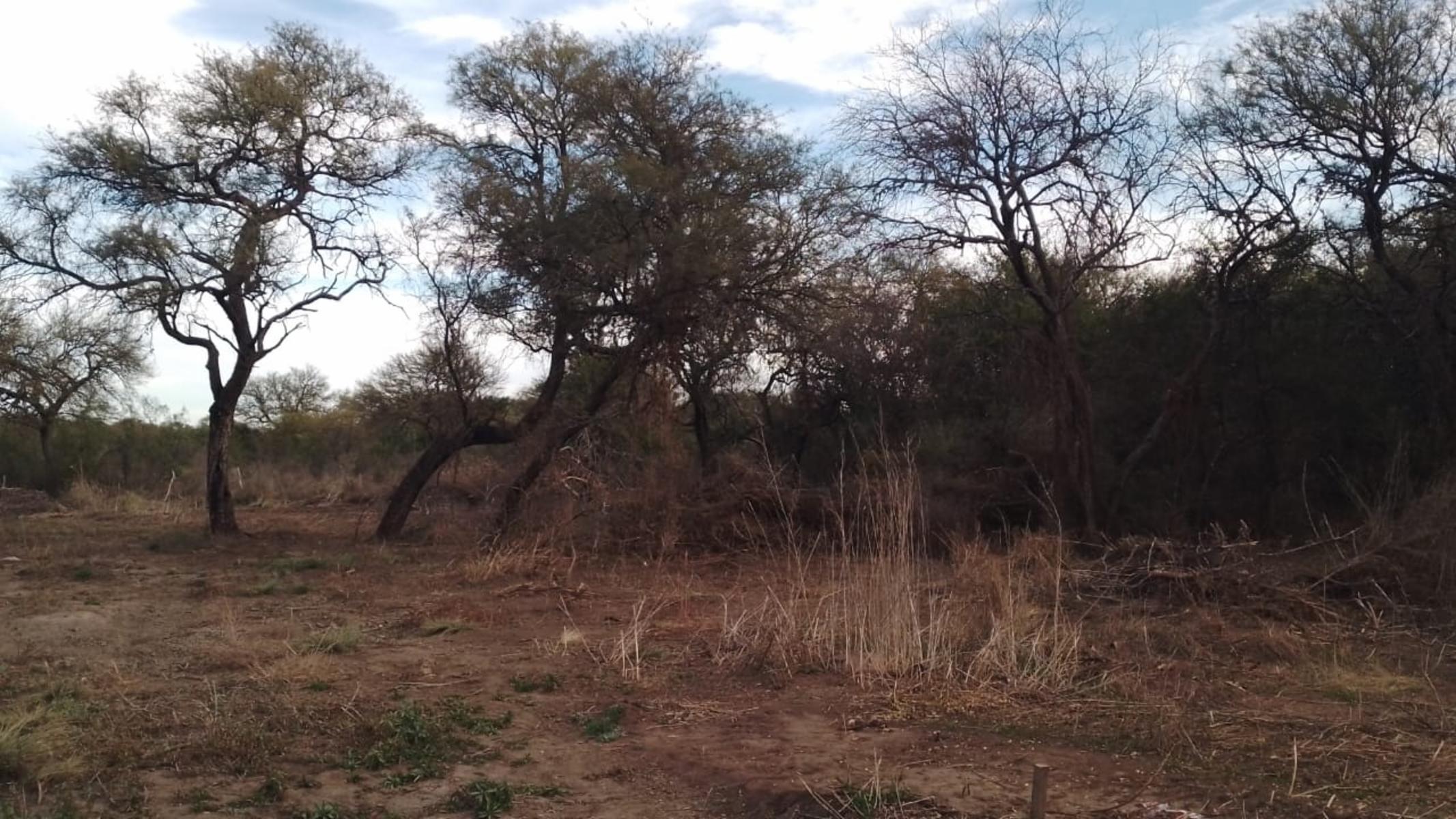VENTA LOTE DE 2000m2 EN EXCLUSIVO LOTEO LA AURELIA, CARPINTERIA, SAN LUIS