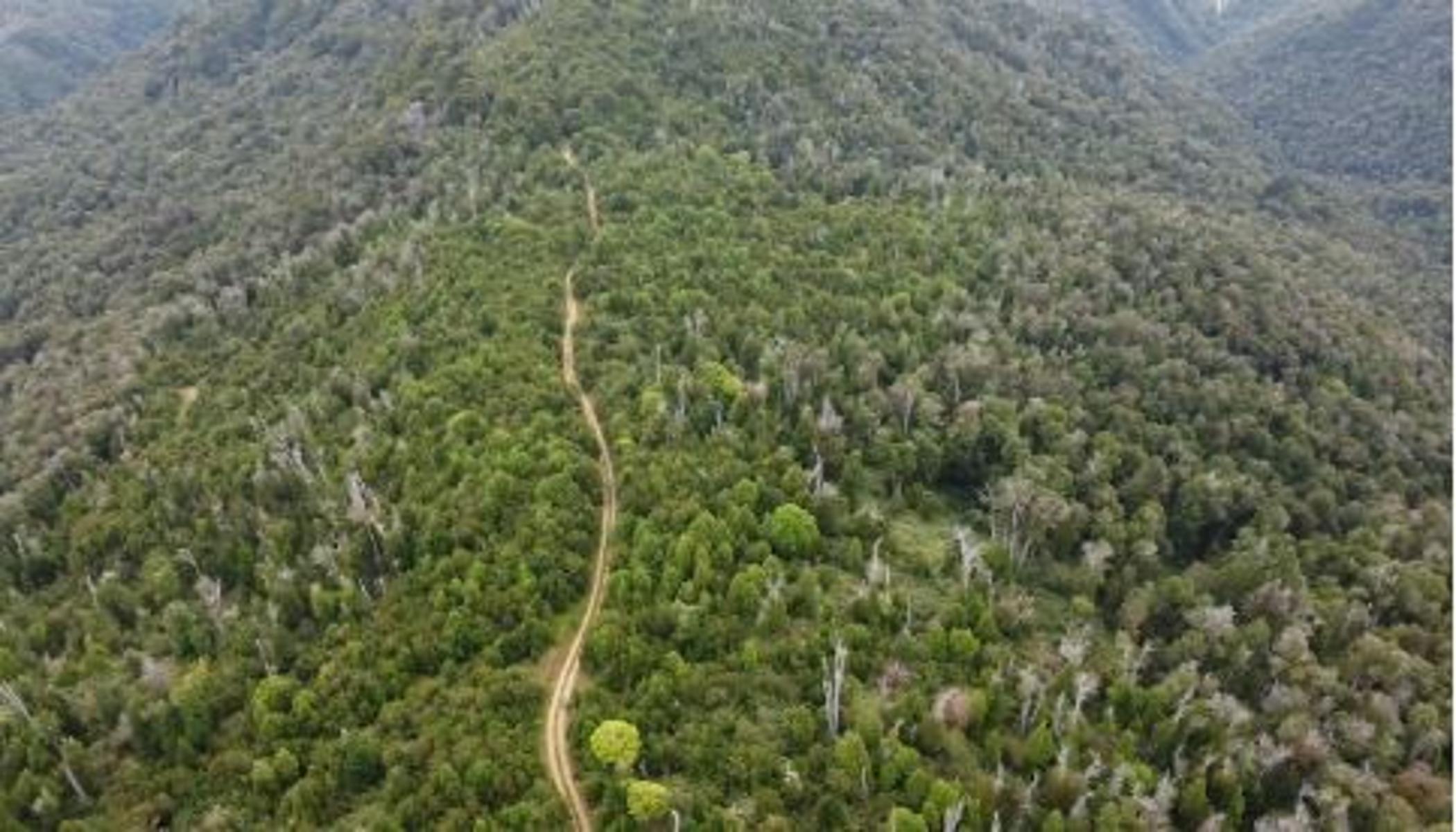 Hermoso campo de 345 hectáreas a pies de la Cordillera de la Costa - Purranque