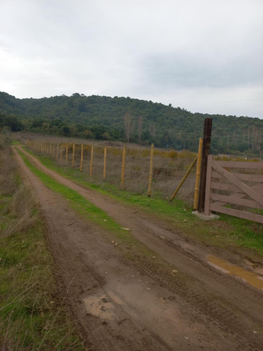 Hermosa Parcela ubicada en Mesamávida al pie de cerro Mesamávida